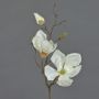 Fleur artificielle Magnolia MALBINE, crème, 50cm, Ø6-10cm