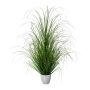 Herbe décorative Pennisetum KIVRA en pot décoratif, vert, 90cm