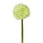 Fleur artificielle Allium WANDENY, crème-vert, 65cm