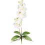 Orchidée Phalaenopsis artificielle MORLEK, piquet, racines, crème, 60cm