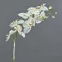 Orchidée Phalaenopsis artificielle NALANI, neige, blanc, 80cm