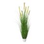 Herbe décorative Herbe de la Pampa FONZA en pot décoratif, panicules, brun-jaune, 180cm