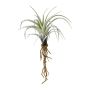 Plante artificielle succulente Tillandsia stricta SNELDON avec des racines, vert, 22cm