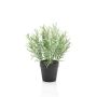 Romarin artificiel WHOOPI en pot décoratif, vert, 25cm