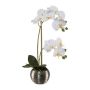 Fleur décorative Orchidée Phalaenopsis ZARFU, pot décoratif argenté, racines, blanc, 40cm
