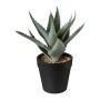 Plante artificielle succulente Aloe Vera BLORN en pot décoratif, vert, 20cm