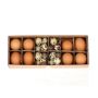 Œufs de poule et de caille décoratifs KIKU, 32 pièces, décoration de Pâques, brun