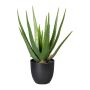 Succulente artificielle succulente Aloe Vera KRONFA en pot décoratif, vert, 45cm