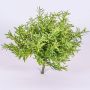 Romarin décoratif JOSHUA à planter, vert, 20cm, Ø15cm