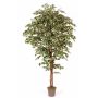 Arbre artificiel Ficus Benjamina LINETTE, troncs naturels, vert-blanc, 250cm - Made in Italy