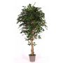 Ficus Benjamina en mousse synthétique YANEXY, troncs naturels, vert, 175cm - Made in Italy