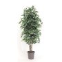 Ficus Benjamina artificiel KONRADE, troncs en bois véritable, vert-blanc, 250cm - Made in Italy
