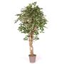 Ficus Benjamina en mousse synthétique YANEXY, troncs naturels, vert-blanc, 175cm - Made in Italy