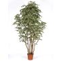 Ficus Benjamina décoratif MIMITIGO, troncs en bois véritable, vert-blanc, 250cm - Made in Italy