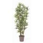Faux bambou KUSJA, tiges de bambou naturelles, crossdoor, 175cm - Made in Italy