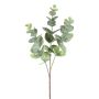 Branche décorative Eucalyptus BLIFER, gris-vert, 50cm