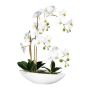 Orchidée Phalaenopsis décorative JELTRON, coupe en céramique, racines, blanc, 60cm