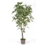 Ficus Benjamina artificiel BASILIO, troncs en bois véritable, vert-blanc, 210cm - Made in Italy