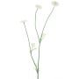 Branche de fleurs en tissu Pâquerette NIKSA, crème, 55cm