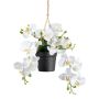 Suspension d'orchidée Phalaenopsis décorative LARSAY, pot décoratif, blanc, 25cm