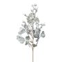 Branche décorative Eucalyptus GRIFLO avec des fruits, givré, blanc-gris, 55cm