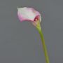 Calla artificiel MARIOLA, rose-blanc, 80cm, 8x15cm
