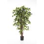 Ficus Benjamini artificiel JARLAN, troncs véritables, vert, 120cm