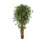 Ficus Benjamini synthétique LUCIUS, troncs véritables, vert, 120cm
