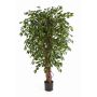 Ficus Benjamini artificiel DAKU, troncs naturels, vert, 90cm