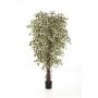 Ficus Benjamini artificiel DAKU, troncs naturels, vert-blanc, 90cm