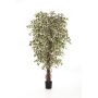 Ficus Benjamini artificiel DAKU, troncs naturels, vert-blanc, 120cm