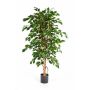 Ficus Benjamina synthétique THIAGO, troncs naturels, vert, 120cm