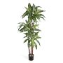 Arbre décoratif Dracaena Fragrans LAURA, troncs véritables, vert-blanc, 120cm