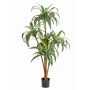 Arbre artificiel Dracaena Fragrans JALA, troncs véritables, vert-blanc, 120cm