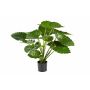 Plante artificielle Alocasia Calidora SALONI, vert, 75cm