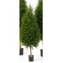 Cèdre décoratif YVONNE, vert, 120cm