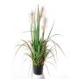 Roseau décoratif EYOTA avec panicules, vert-brun, 80cm