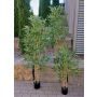 Arbre artificiel bambou SEUMAS, troncs naturels, 150cm