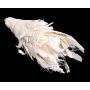 Fibres de palmier naturelles ABENA, crème-blanc, 220g