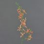 Branche florale artificielle Orchidée Cattleya TRASSA, orange-jaune, 80cm