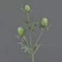Chardon noble artificiel SVEA, vert, 40cm, Ø2-3cm