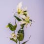 Fleur textile Gloriosa FUJITA, crème-vert, 80cm, Ø15cm