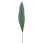 Feuille d'aspidistra artificielle MALEKO, collection écologique, vert, 80cm