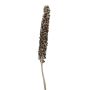 Fleur de palmier MAKENA, naturel, séché, 120-190cm