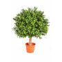 Buis artificiel TOM, tronc naturel, 35cm, Ø25cm