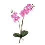 Fausse orchidée Phalaenopsis CANDIDA à planter, rose, 65cm