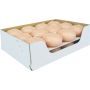 Bougies flottantes ORNELLA, 24 pièces, pêche pastel, 2,8cm, Ø4,5cm, 4h