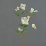 Branche décorative Cornouiller du Japon KOHANA, en fleurs, crème, 70cm