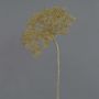 Fausse fleur Berce du Caucase ANSARI, marron, 80cm, Ø22cm