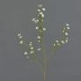 Fleur de cire artificielle NIANG, crème, 80cm, Ø2-3cm
